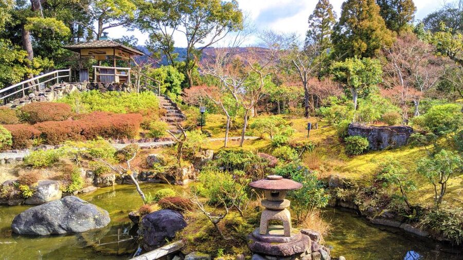 Nara: City Highlights Shared Group or Private Bike Tour - Starting at the Japan Tour Adventure bike base