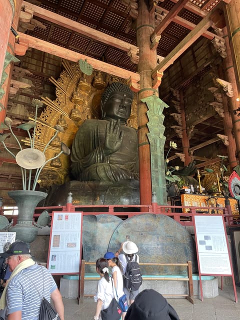 Nara City Tour | Explore Temples, Park & Local Highlights - Nara Park and the deer encounter