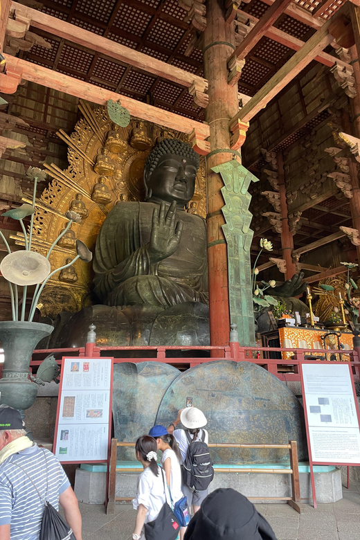 Nara City Tour | Explore Temples, Park & Local Highlights - Nakatanidou for a snack and shopping pause
