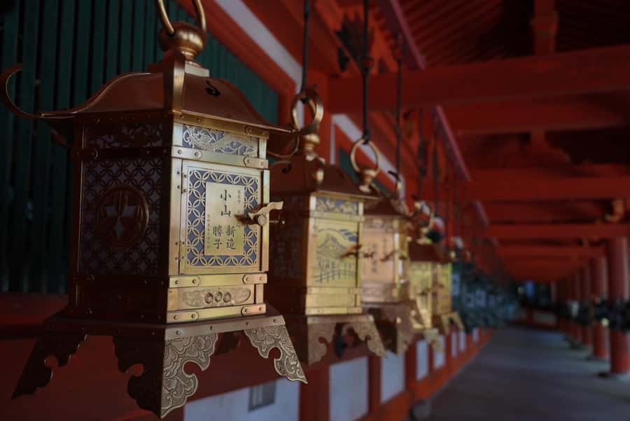 Nara Early Bird Tour (Kyoto Departure Option Available) - Why an early Nara start is worth the alarm