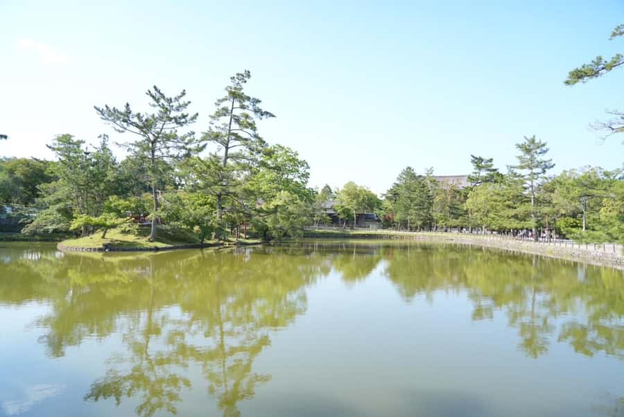 Nara Early Bird Tour (Kyoto Departure Option Available) - From Kyoto Station to Nara by public train