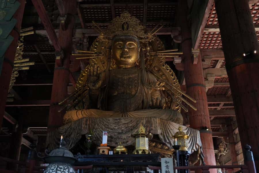 Nara Early Bird Tour (Kyoto Departure Option Available) - Kasuga Grand Shrine and the forest paths