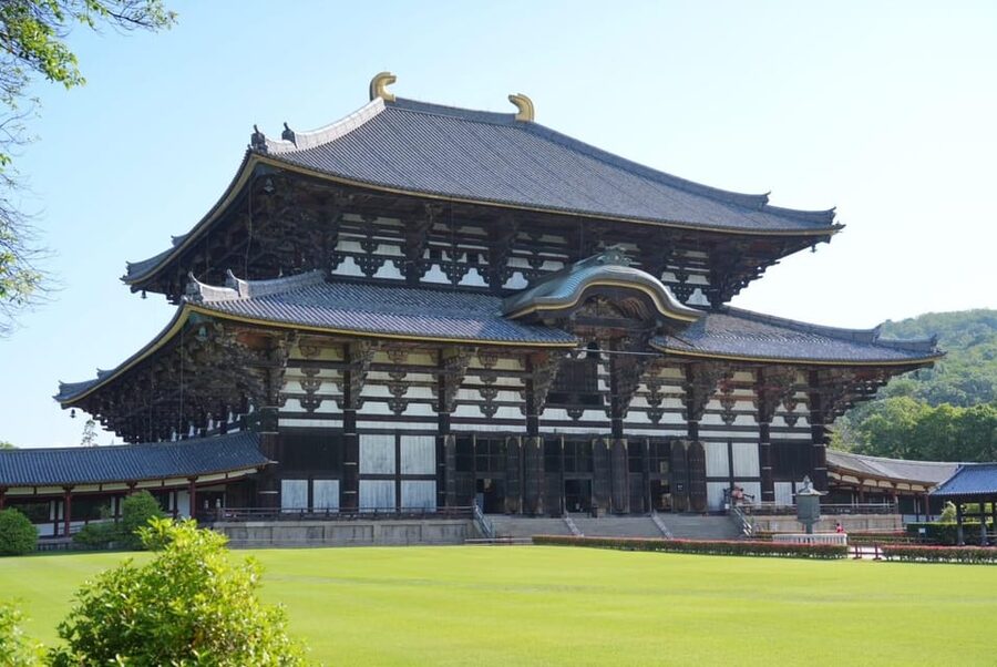Nara Early Bird Tour (Kyoto Departure Option Available) - What the guides add to the morning