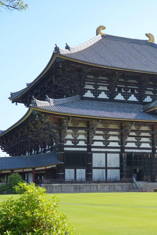 Nara Early Bird Tour (Kyoto Departure Option Available) - What you can do after the tour