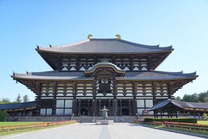 Nara Early Morning Tour (Kyoto or Osaka Departure Available) - Nara Park: beautiful deer, practical cautions