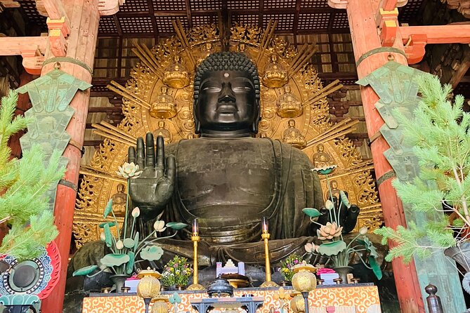 Nara: Essential Private Tour with Deer Park and Temples - Key points to know before booking