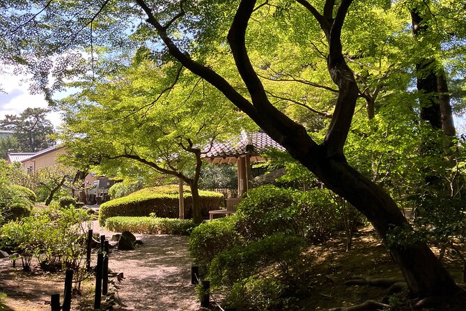 Nara: Essential Private Tour with Deer Park and Temples - One full hour with Todai-ji’s Great Buddha