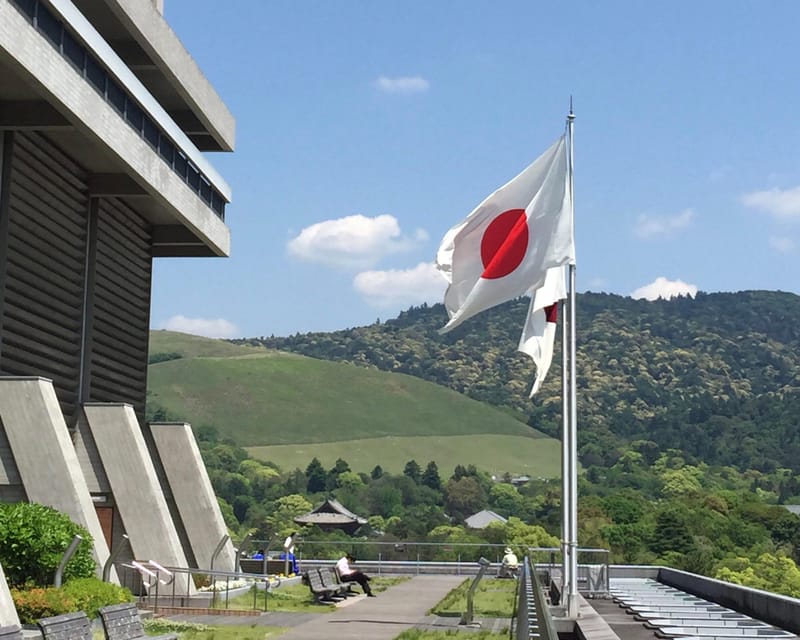 Nara: Full-Day Private Guided Tour - Walking, public transport, and the shape of the day