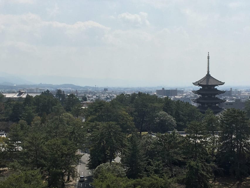 Nara: Full-Day Private Guided Tour - Walking among Nara’s free-roaming deer