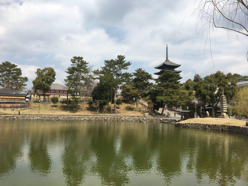 Nara: Full-Day Private Guided Tour - Kasuga-taisha and Nara’s sacred forest setting