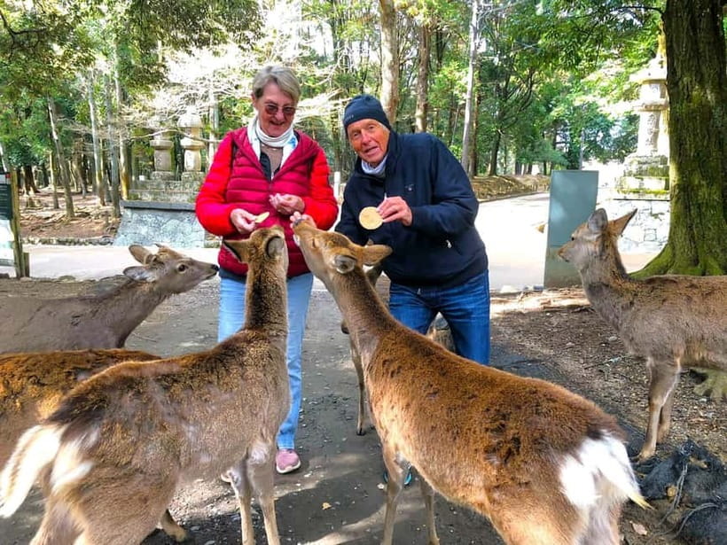 Nara: Great Buddha, Kasuga Shrine & Deer Park Tour - Key points to know before booking