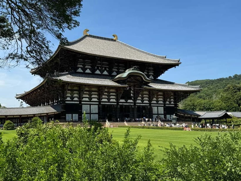Nara: Great Buddha, Kasuga Shrine & Deer Park Tour - Todai-ji and the colossal Great Buddha