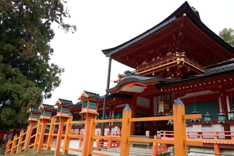 Nara: Great Buddha, Kasuga Shrine & Deer Park Tour - Is $77 a good value?