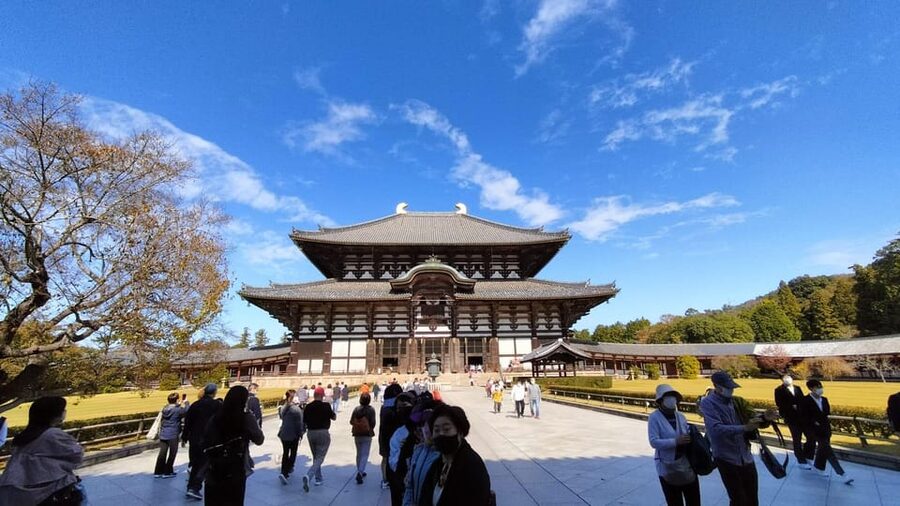 Nara: Great Buddha, Kasuga Shrine & Deer Park Tour - Meeting your guide at Himuro Shrine