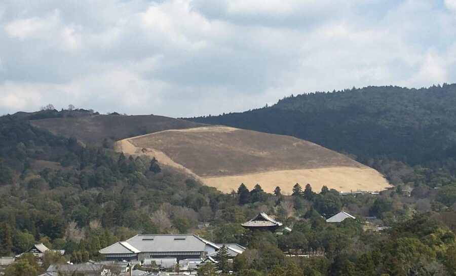 Nara: Half-Day Private Guided Tour - Kasuga Taisha among the trees