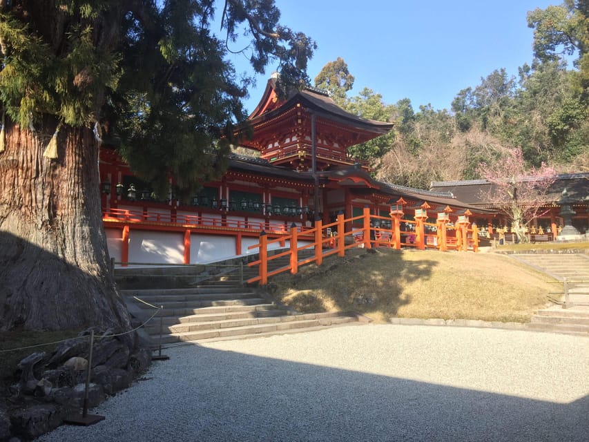 Nara: Half-Day Private Guided Tour - Naramachi and the Lattice House