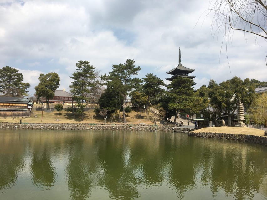 Nara: Half-Day Private Guided Tour - Price, extra fees, and real value