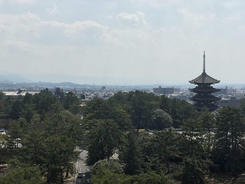 Nara: Half-Day Private Guided Tour - Todaiji and the Great Buddha