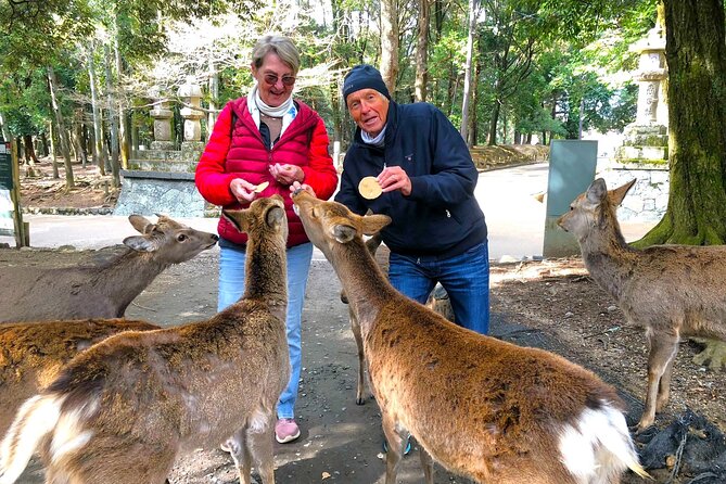 Nara: Half-Day Private Tour of 4 Must-See Spots & Deer Park - Kofuku-ji and the famous five-story pagoda