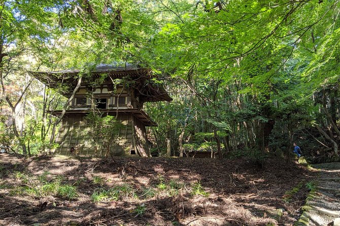Nara - Heart of Nature Cross Bike Tour - A forgotten temple being reclaimed by the forest