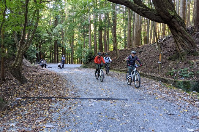 Nara - Heart of Nature Cross Bike Tour - Kasugayama’s carved Buddhist statues