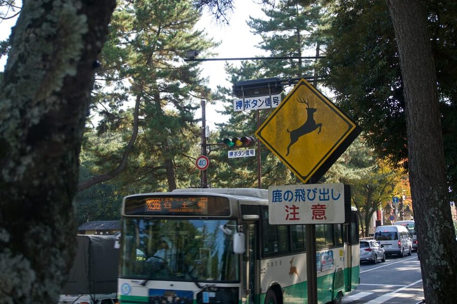 Nara Heritage Walkabout from Nara Park to Todaji-ji temple - Following the lanterns at Kasuga Taisha