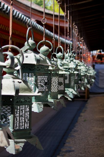 Nara Heritage Walkabout from Nara Park to Todaji-ji temple - Who should book this Nara walk?