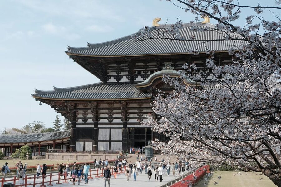 Nara Heritage Walkabout from Nara Park to Todaji-ji temple - Meeting Nara’s polite but persistent deer