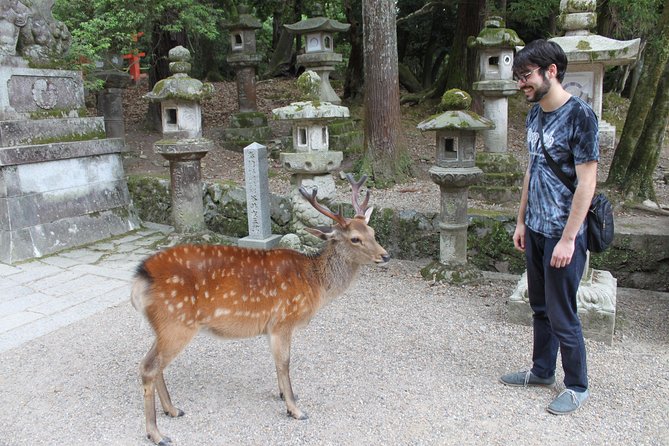 Nara - Highlights Bike Tour - Todai-ji’s Grand South Gate and guardian statues