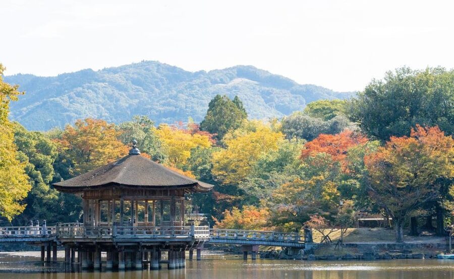 Nara: Private City Tour With A Local Guide - Starting from Osaka or Kyoto