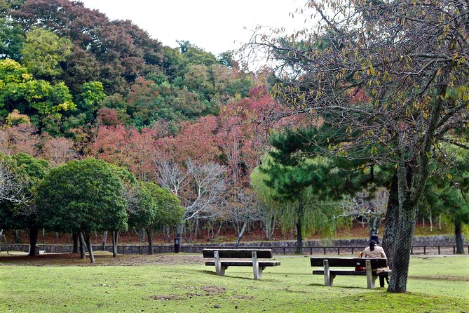 Nara Private Customizable Half Day Tour - What the guide adds to the morning