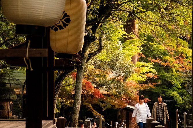 Nara Private Customizable Half Day Tour - Price and the value of private planning