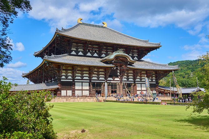 Nara Private Customizable Half Day Tour - Hotel pickup, transport, and physical effort