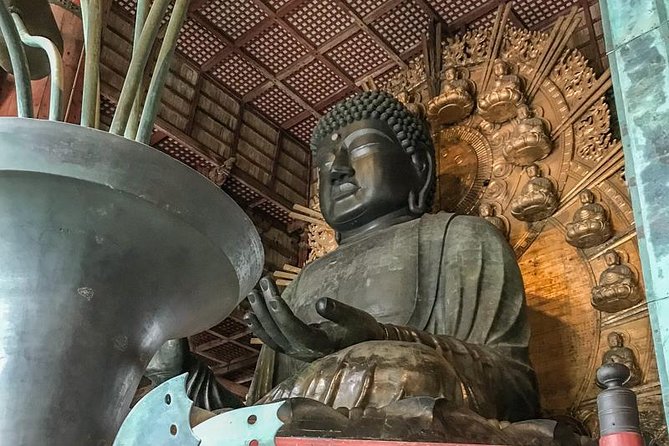 Nara Private Day Trip - Enjoy Your First-Time Visit to Nara! - Kasuga Taisha: lanterns, forest paths, and sacred deer