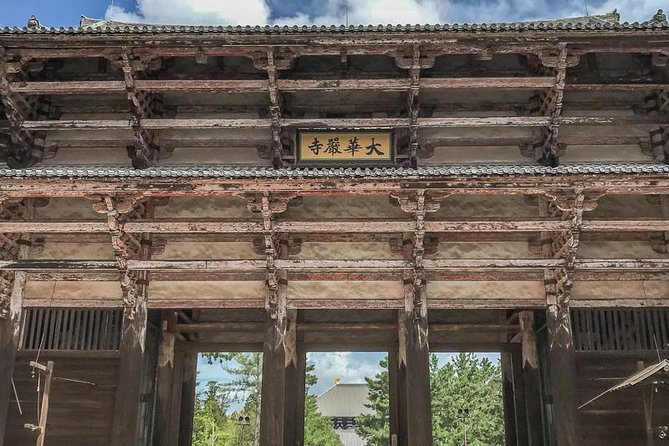 Nara Private Day Trip - Enjoy Your First-Time Visit to Nara! - Customizing the route beyond the standard sights