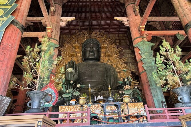 Nara：Private Tea Ceremony(Max 5 ppl) -Master Matcha Making- - Who Will Enjoy This Tea Ceremony Most?