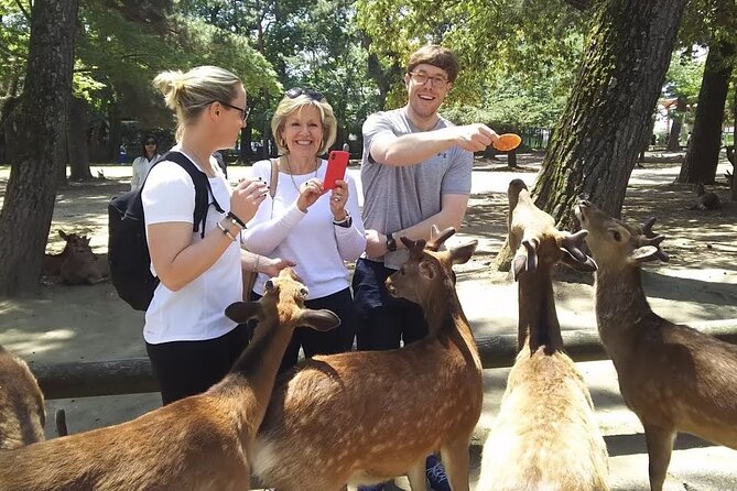 Nara Private Tour: Flexible Pickup from Kyoto, Osaka, or Nara - Key points at a glance
