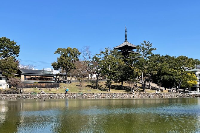 Nara Private Tour: Flexible Pickup from Kyoto, Osaka, or Nara - Yakushi-ji’s twin pagodas