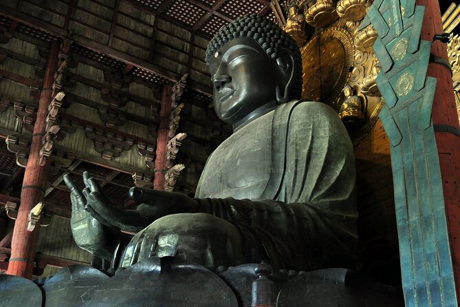 Nara Private Tour: Flexible Pickup from Kyoto, Osaka, or Nara - Todai-ji and the Great Buddha