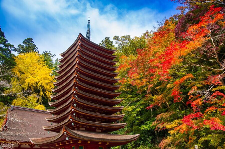 Nara: Private Tour with Private Guide - Kofuku-Ji and Nara’s Buddhist art