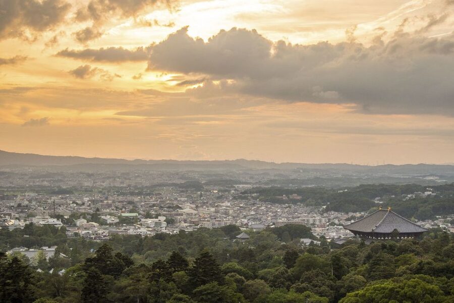 Nara: Private Walking Tour with a Local - Key points to know before booking