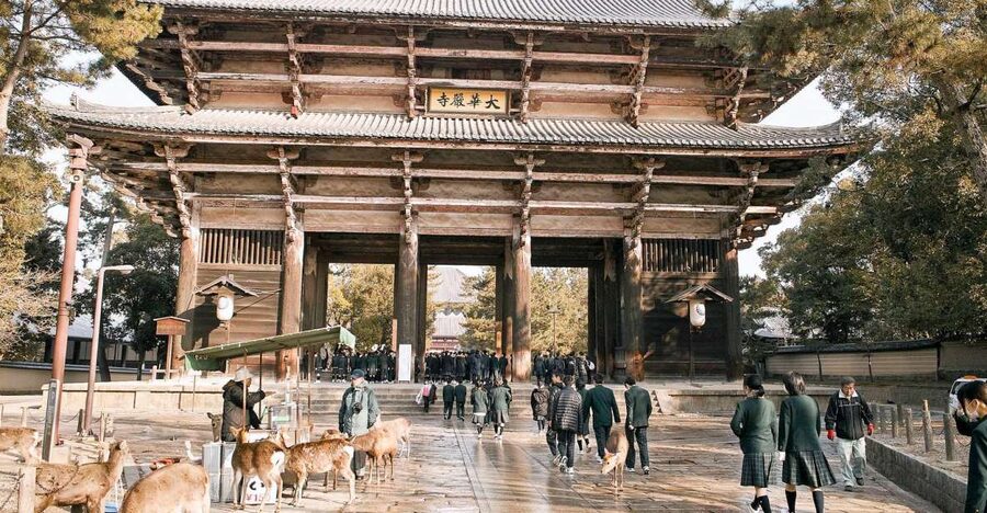 Nara: Private Walking Tour with a Local - Building a route around your interests