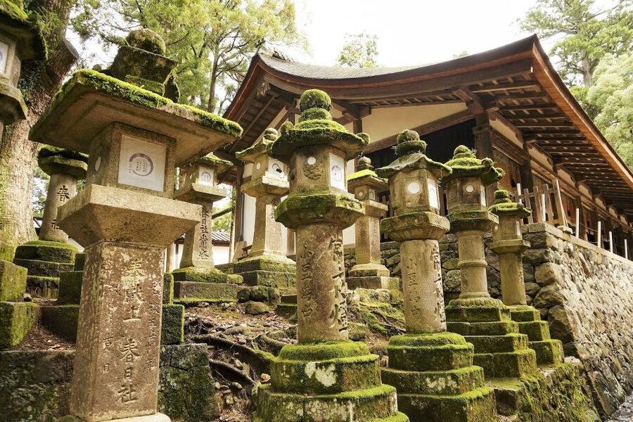 Nara: Private Walking Tour with a Local - What Eugene and Ursula add to the experience