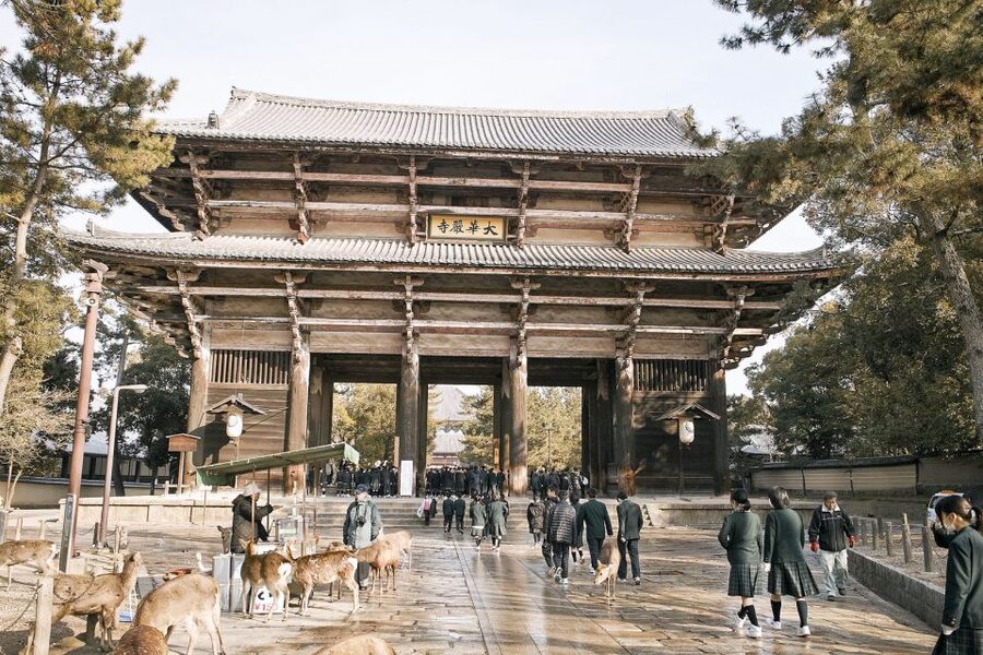 Nara: Private Walking Tour with a Local - Food, shopping, and practical advice for the rest of your stay