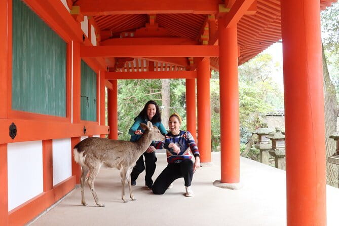 Nara Sake Tasting Tour at Local Brewerie(tasting fee included) - Is $104.51 a fair price?