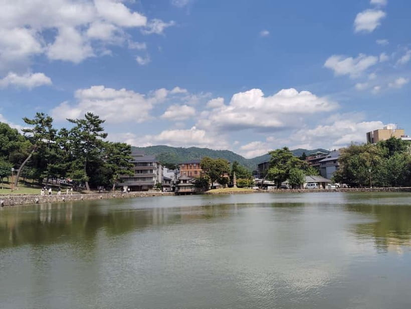 Nara: Sake Tasting Tour at the Birthplace of Japanese Sake - What the tasting teaches you about sake
