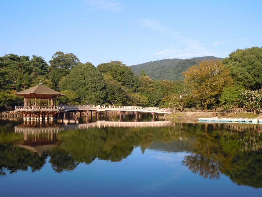 Nara: Todai-ji y parque de Nara (Spanish Guide) - Tamukeyama connects temple grounds with wooded paths