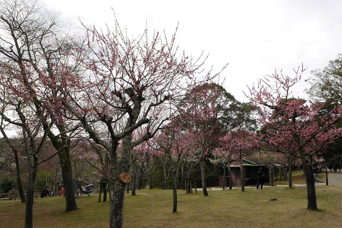 Nara Todaiji Kasuga Taisha Private Full Day Tour From Kyoto - Meeting at Kyoto Station and catching the train