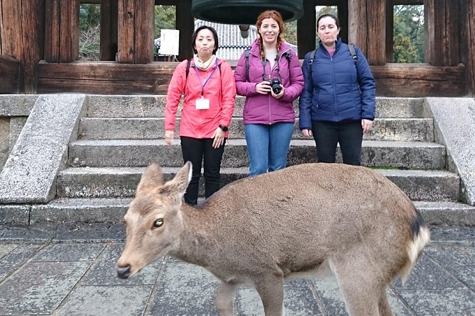 Nara Todaiji Lazy Bird Walking Tour - How the Private Guide Changes the Day