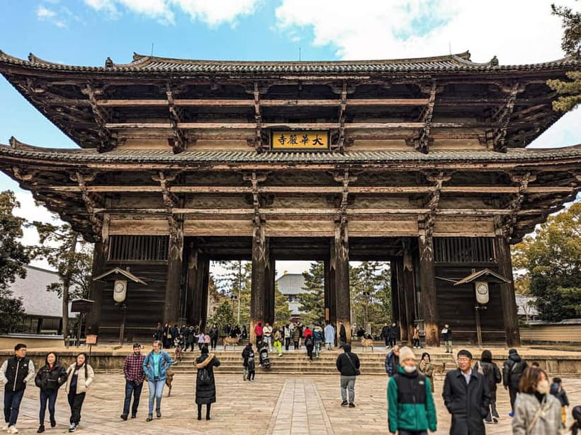 Nara: UNESCO Heritage Sites & Deer Park Tour with Pro guide - Walking through Kasuga Taisha’s ancient forest